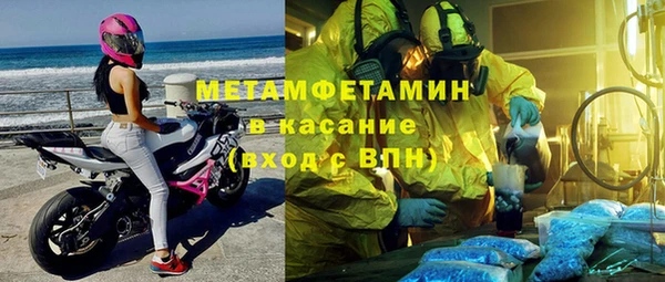 прущие грибы Нягань