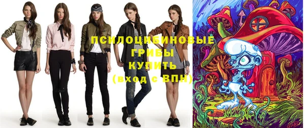 ПСИЛОЦИБИНОВЫЕ ГРИБЫ Няндома
