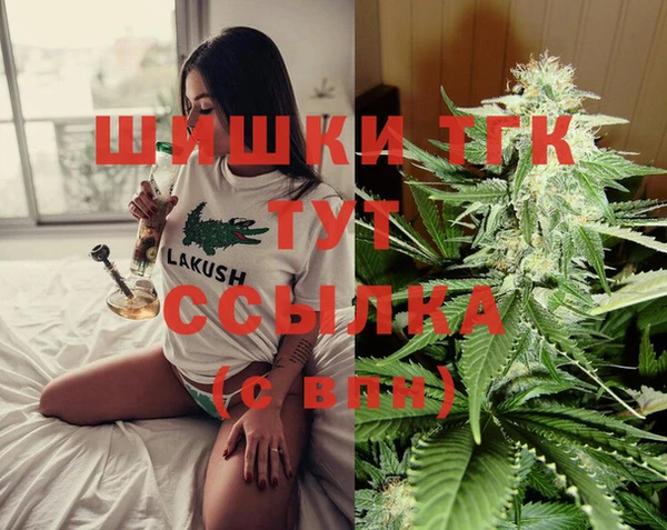 прущие грибы Нягань