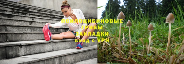 прущий лед Осинники