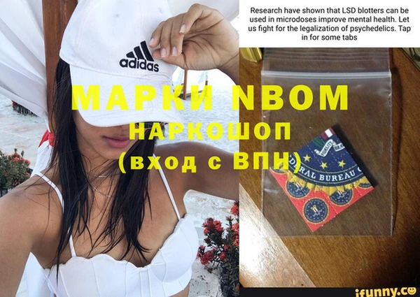 прущие грибы Нягань