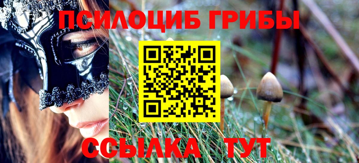 Галлюциногенные грибы Psilocybine cubensis  Псилоцибиновые грибы MAGIC MUSHROOMS  Вход с VPN  Грязи 