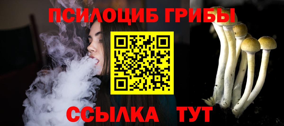 Псилоцибиновые грибы мицелий  Грязи 