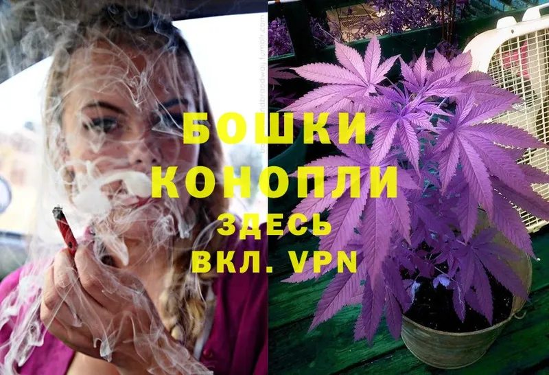 купить наркотик  Грязи  Конопля White Widow 