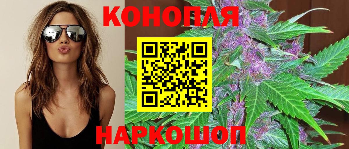Конопля сатива  Канабис гибрид  Вход с VPN  Грязи 